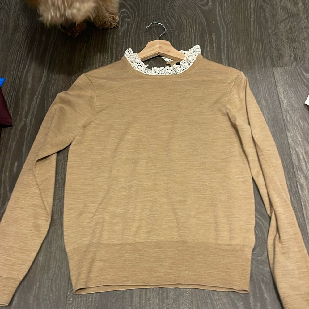 J Crew Merino Wool Sweater